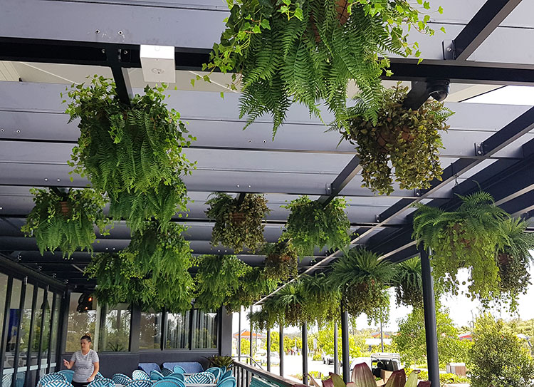 Hanging-Baskets transform new Tavern balcony from drab to cool green... image 8
