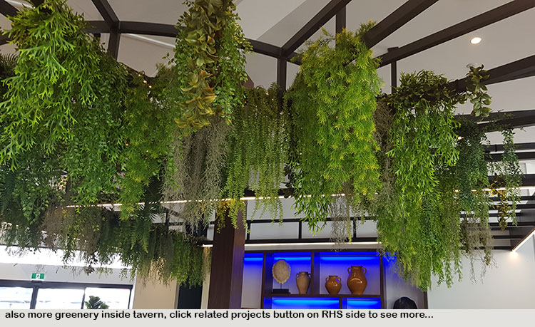 Hanging-Baskets transform new Tavern balcony from drab to cool green... image 9