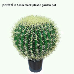 Barrel Cactus- lge - artificial plants, flowers & trees - image 4