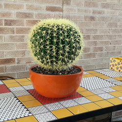 Barrel Cactus- lge - artificial plants, flowers & trees - image 2