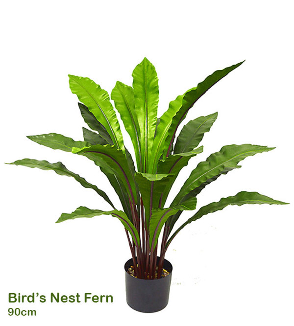 Articial Plants - Bird's Nest Fern 90cm