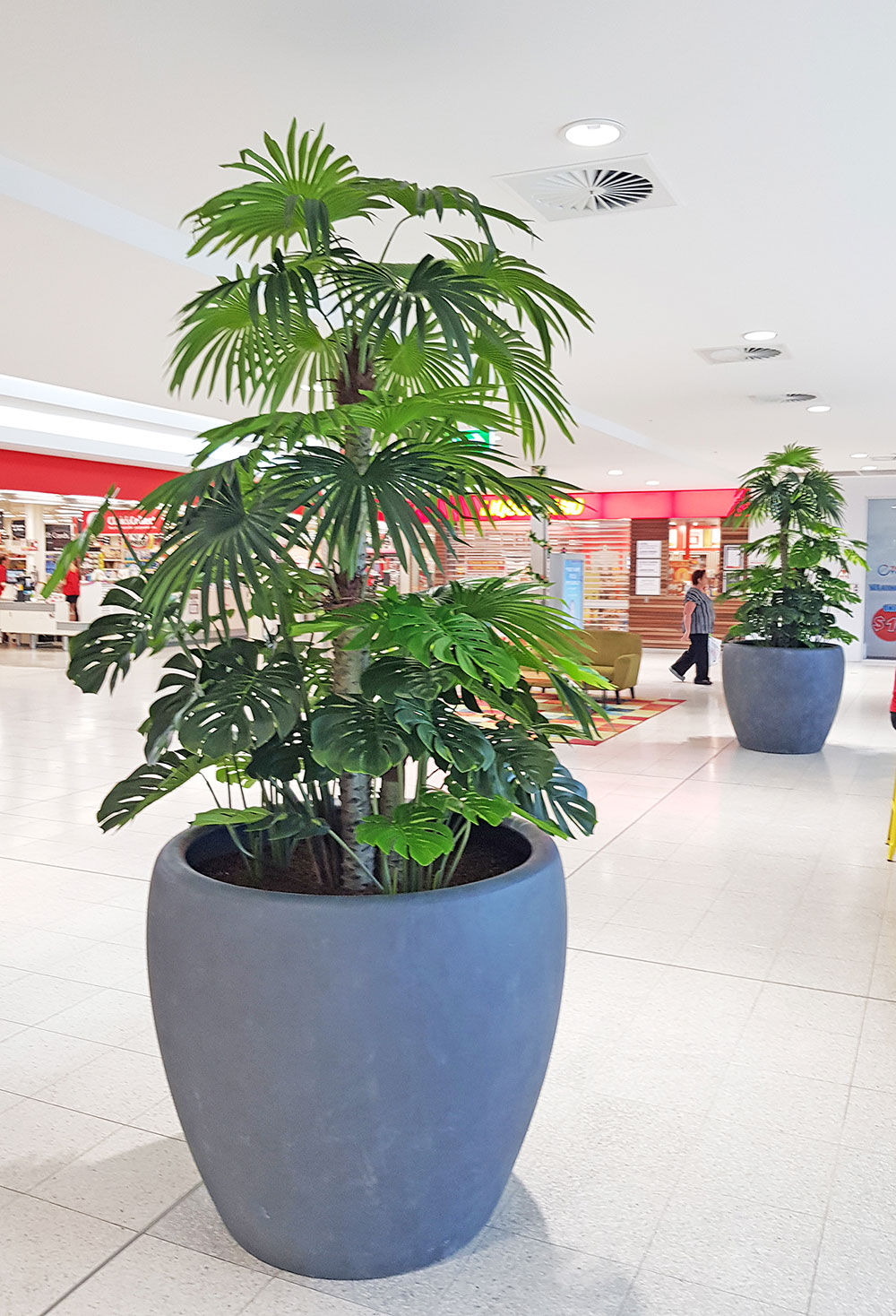 large planters in mall