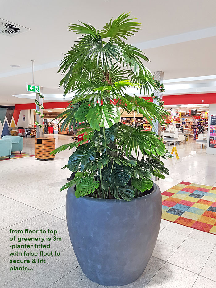 Large Palm Planters, perfect for Shopping Malls... image 3