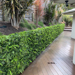 Wall-Panels Ivy/Fern UV x30 [approx 7m2] - artificial plants, flowers & trees - image 4