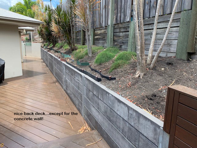 Turning an unsightly block wall into a green Feature... image 2