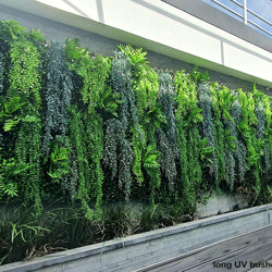 UV-Trailer: Casuarina 'cousin-It' Plant 120cm - artificial plants, flowers & trees - image 2