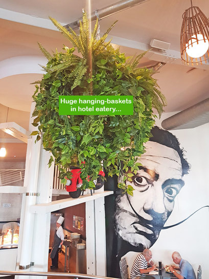 Huge Hanging-Baskets add cosy green feel to Hotel Eatery...
