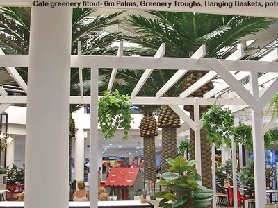 Cafe in Mall is a green oasis...