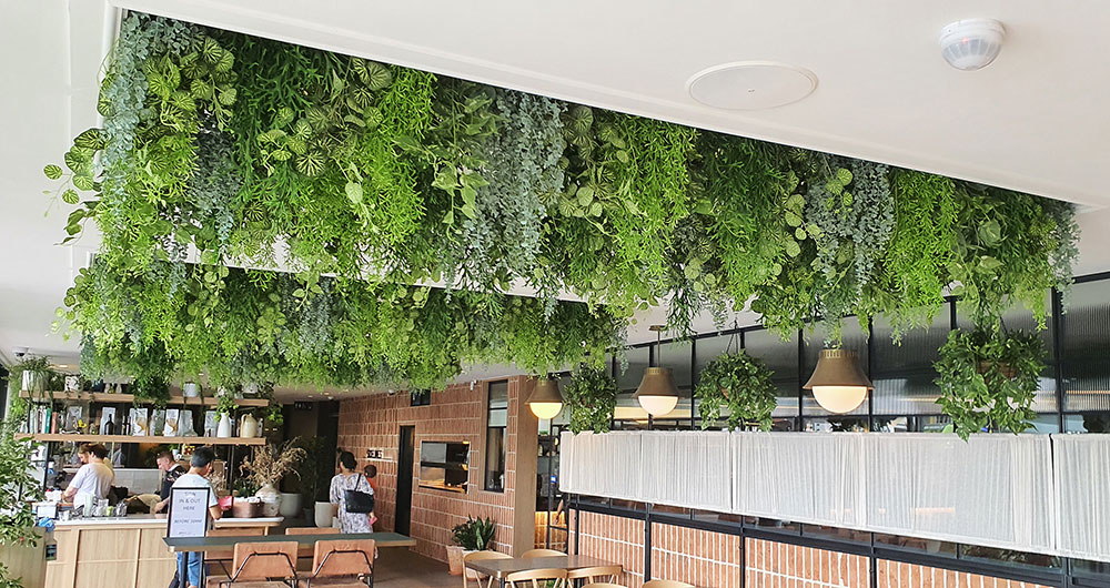 trailing greenery from ceiling voids 