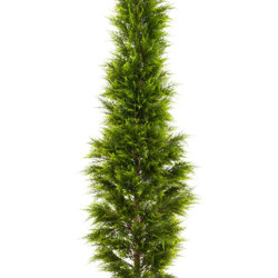 Cypress Pine 2.1M - artificial plants, flowers & trees - image 9