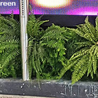 Artificial Green Walls turn concrete canyon into a porte cochere poplet image 8