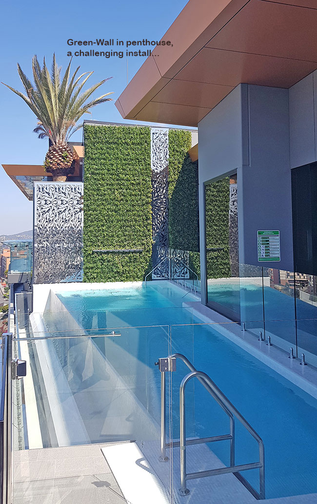 Artificial Green Wall above Penthouse Pool- tricky install! image 9