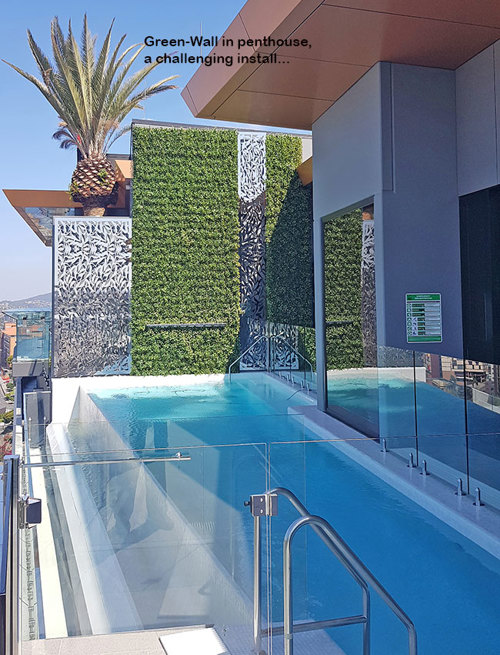 Artificial Green Wall above Penthouse Pool- tricky install!