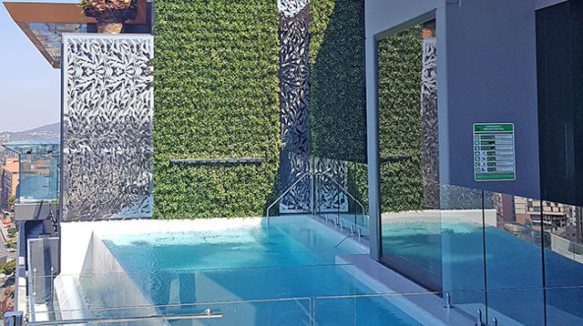 Green-Wall above Penthouse Pool- tricky install!