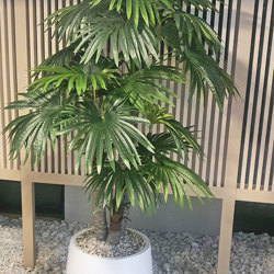 Fan Palm 2.4m [lge foliage] - artificial plants, flowers & trees - image 4