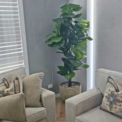 Fiddle-Leaf Ficus 'giant-leaf' 1.9m (deluxe) - artificial plants, flowers & trees - image 4