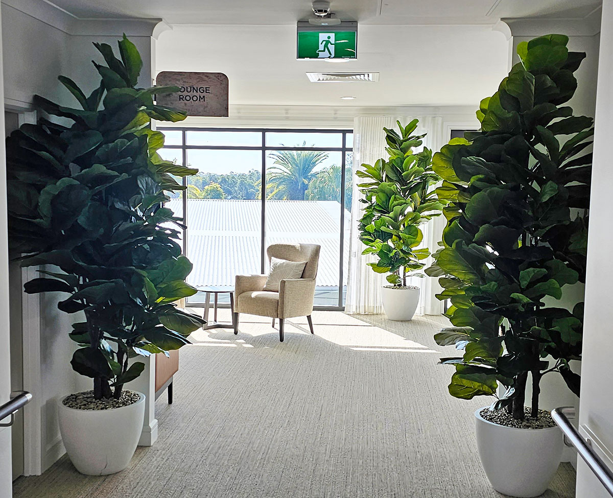 a green-greeting for Aged Care Lounge