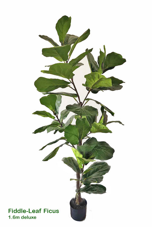 Articial Plants - Fiddle-Leaf Ficus 1.6m deluxe