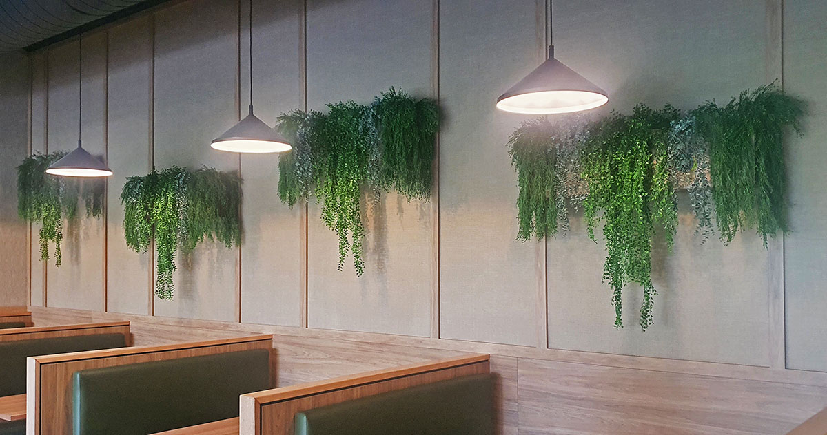 wall planters add softening greeney to common areas