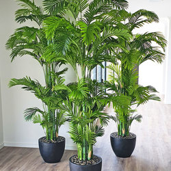Golden Cane Palm 2.4m - artificial plants, flowers & trees - image 7