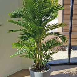 Golden Cane Palm 2.4m - artificial plants, flowers & trees - image 4