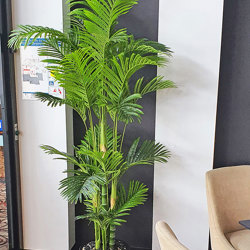 Golden Cane Palm 1.8m - artificial plants, flowers & trees - image 1