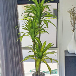 Happy Plant 1.9m quadruple-head - artificial plants, flowers & trees - image 5
