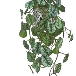 Hanging Cane Lantern- Monstera med - artificial plants, flowers & trees - image 8
