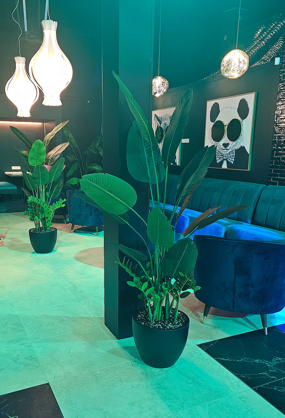 Big Palms in pots make a statement