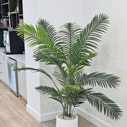 Kentia Palms 1.7m - artificial plants, flowers & trees - image 7