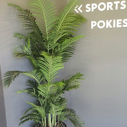 Kentia Palms 1.7m - artificial plants, flowers & trees - image 2