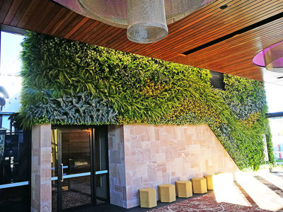 Artificial Green Wall flows seamlessly from outdoors into club foyer