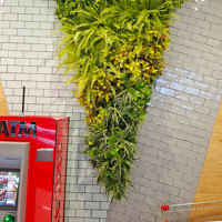 Custom-sized to fit architecture, artificial green-walls are cool! poplet image 1