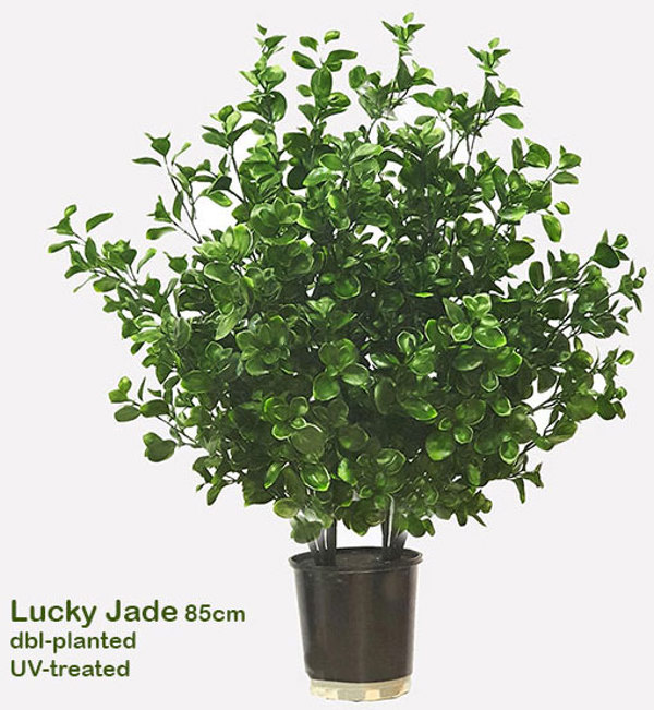 Articial Plants - UV-Bush Lucky Jade 85cm dbl-planted