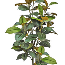 Magnolia 'little gem' 1.5m - artificial plants, flowers & trees - image 9
