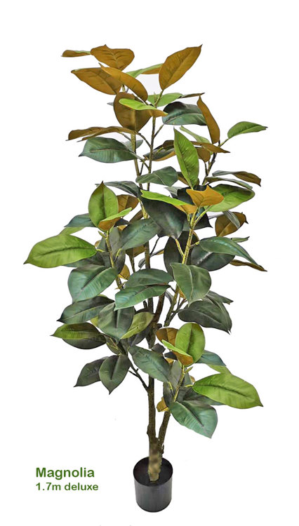 Articial Plants - Magnolia  'little gem' 1.7m (dlx)