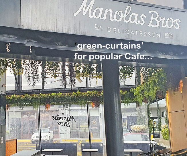 Breezy 'green-curtain' for popular Cafe...