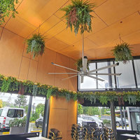 Breezy 'green-curtain' for popular Cafe... poplet image 9