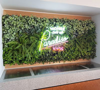 Before & After Shots..... Green-Walls 3
