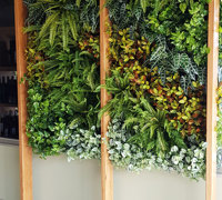 Before & After Shots..... Green-Walls 3