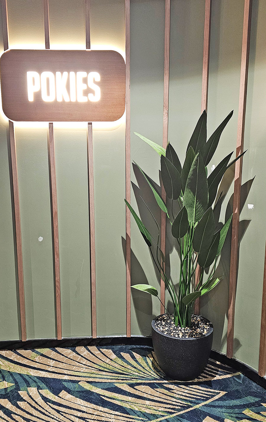 Bird of Paradise Plant 1.6m
