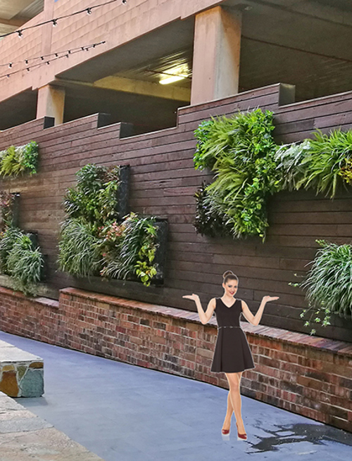 Artificial Green Walls in Shopping Mall