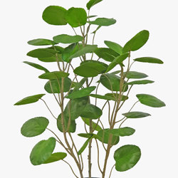 Money Plant 1m - artificial plants, flowers & trees - image 3