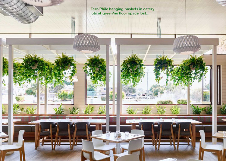 Raised Planter & Green-Wall in Club Foyer