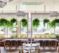 Raised Planter & Green-Wall in Club Foyer