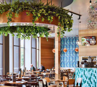 Raised Planter & Green-Wall in Club Foyer