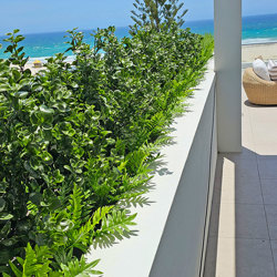 UV-Bush Lucky Jade 80cm - artificial plants, flowers & trees - image 4
