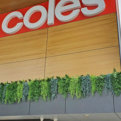 UV-Trailer: Asparagus Fern- variegated 70cm  - artificial plants, flowers & trees - image 3