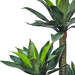 Agave Plant 1.3m with 4 heads - artificial plants, flowers & trees - image 1