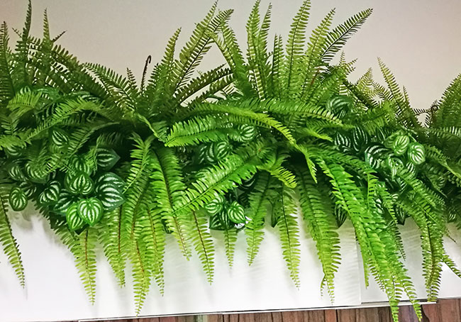 New Campus requires greenery throughout...